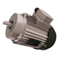  Electric motors, 3-phase Euro voltage (type A)  for greenhouse